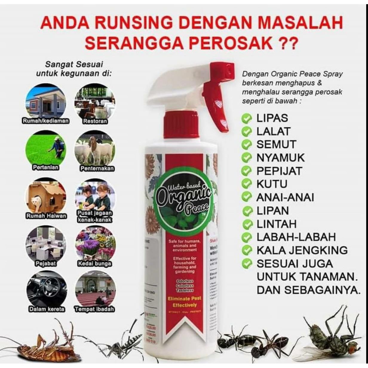 Organic Rid Spray