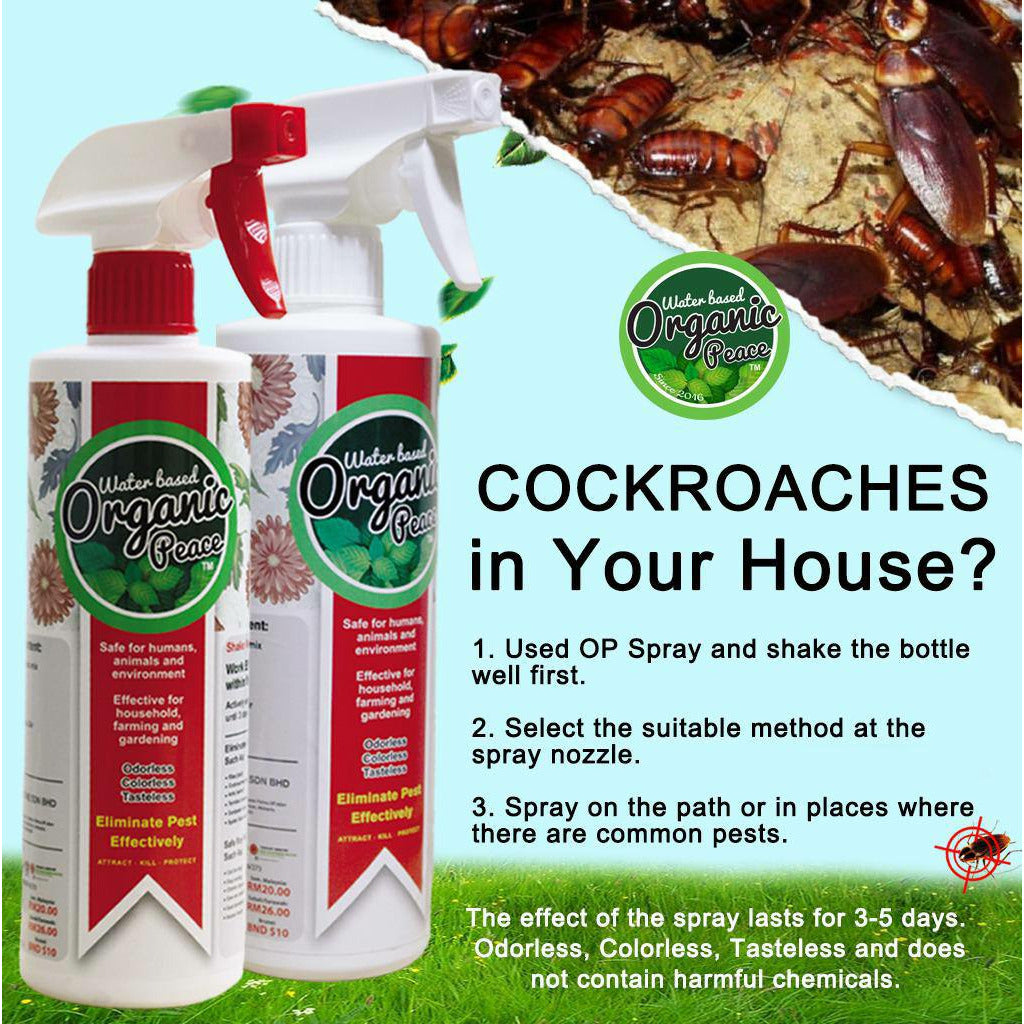 Organic Rid Spray