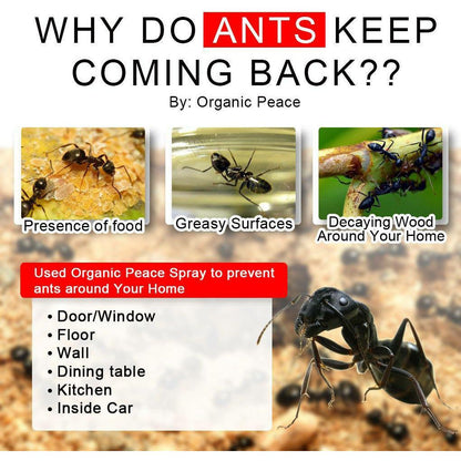 Organic Rid Spray