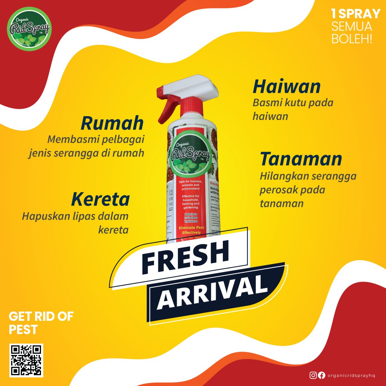Organic Rid Spray โ B Dazzled By Norsiah Borhan