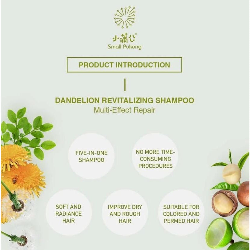 Small Pukong Dandelion Revitalising Shampoo (For Dry and Damaged Hair)