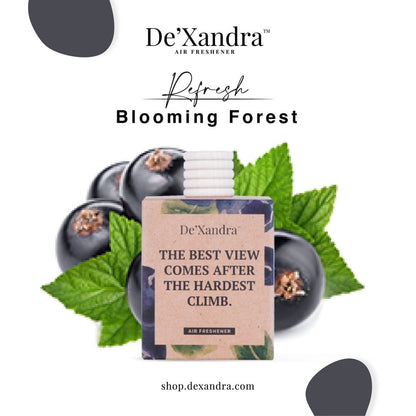 De'Xandra Air Freshener